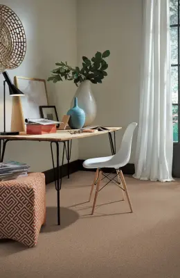 Carpet One Floor & Home - Newport - Carpet Installation in Newport, OR