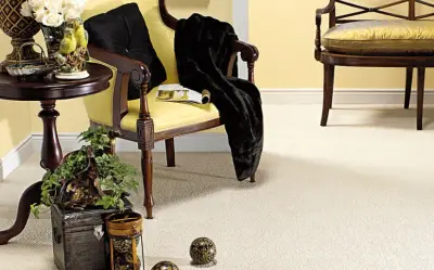 Miller Custom Floors - Carpet Installation in Le Sueur, MN