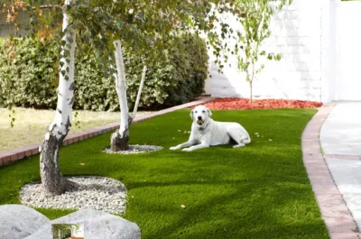 Complete Synthetic Turf - Lawn Aeration in Jupiter, FL