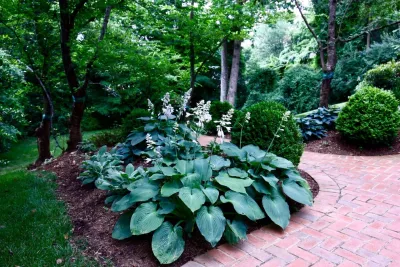 Coogan's Design Build - Garden Remodeling in Pineville, NC