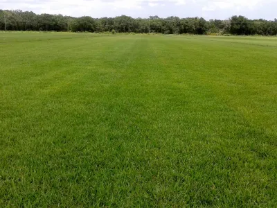 Council Growers Sod Farm - Landscape Construction in Wimauma, FL