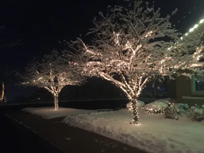Christmas Lighting — Landscape Construction project by Country Club Landscaping