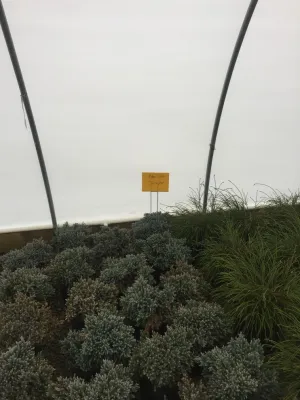 Color + Inspiration — Landscape Construction project by Country Club Landscaping