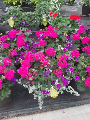 Country Club Landscaping - Irrigation System Repair in Centerville, MA