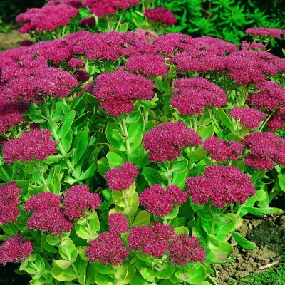 Country Club Landscaping - Irrigation System Repair in Centerville, MA