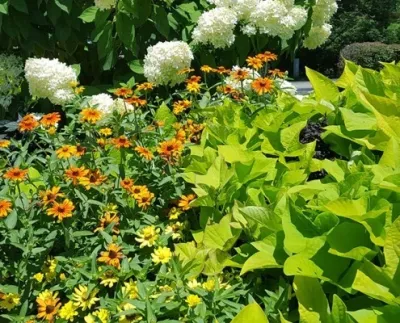 Country Club Landscaping - Irrigation System Repair in Centerville, MA