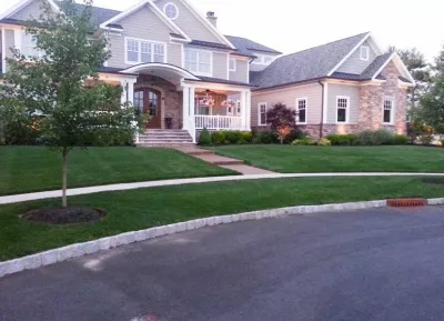 Country Lawn Care, Inc. - Tree & Shrub Care in Hamilton, GA