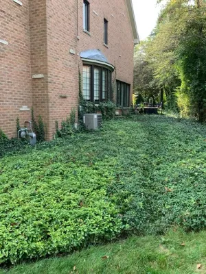 Countryside Industries - Landscape Design in Wauconda, IL