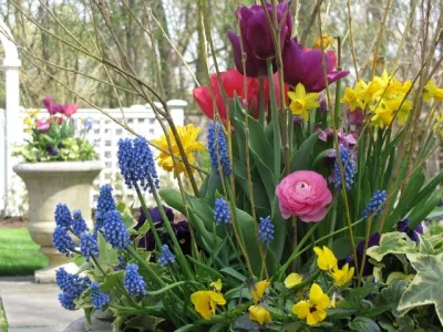 Countryside Industries - Landscape Design in Wauconda, IL