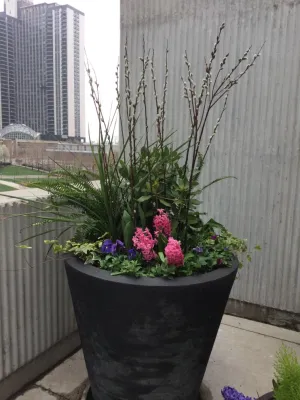 Countryside Industries - Landscape Design in Wauconda, IL