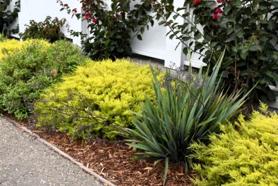 CP Landscapes - Lawn Aeration in Morro Bay, CA
