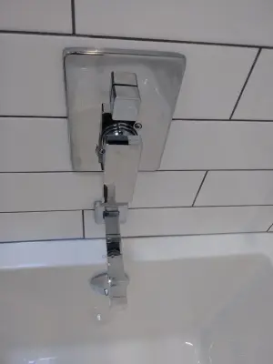 Park Ridge Restroom — Kitchen Remodeling project by Premier Kitchen & Bath Remodeling