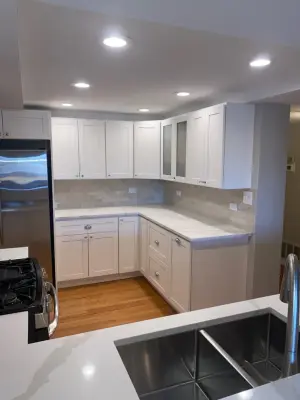 Park Ridge Culinary Space Renovation — Kitchen Remodeling project by Peter Renovations Inc