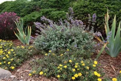 CP Landscapes - Lawn Aeration in Morro Bay, CA