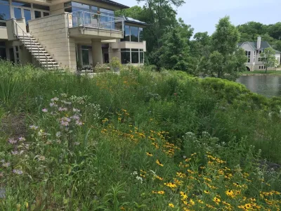 Compilation of Natural Native Plantings — Landscape Construction project by Creating Sustainable Landscapes, LLC