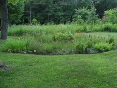 Creating Sustainable Landscapes, LLC - Tree Planting & Transplanting in Novi, MI