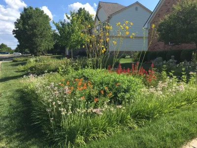 Creating Sustainable Landscapes, LLC - Tree Planting & Transplanting in Novi, MI