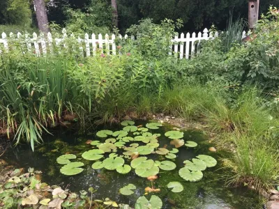 At home July 2017 — Landscape Construction project by Creating Sustainable Landscapes, LLC in Novi