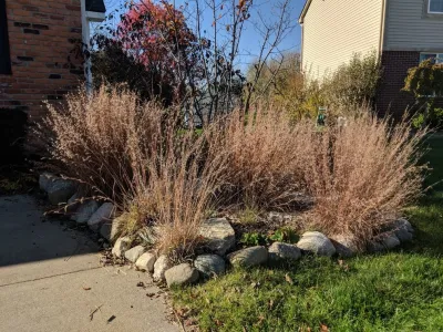 Creating Sustainable Landscapes, LLC - Tree Planting & Transplanting in Novi, MI