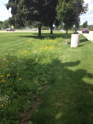 Creating Sustainable Landscapes, LLC - Tree Planting & Transplanting in Novi, MI