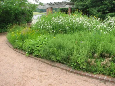 Creating Sustainable Landscapes, LLC - Tree Planting & Transplanting in Novi, MI