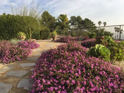 Creative Concepts Landscape Management, Inc. - Irrigation System Repair in La Crescenta-Montrose, CA