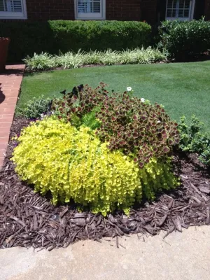 Homestead Lawn & Landscape - Landscape Maintenance in Asheville, NC