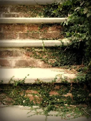 Homestead Lawn & Landscape - Landscape Maintenance in Asheville, NC
