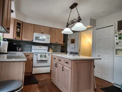 Commerce Refacing — Kitchen Remodeling project by Kitchen Tune-Up Novi, MI
