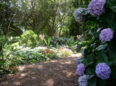 Seaside Perennial Garden — Landscape Construction project by Creative Landscapes, Inc.