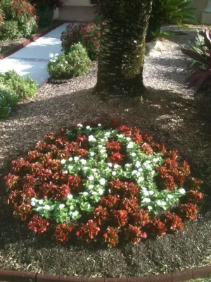 Crowder's Landscaping - Landscape Construction in Lutz, FL