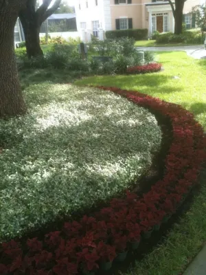 Crowder's Landscaping - Landscape Construction in Lutz, FL