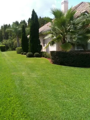 Crowder's Landscaping - Landscape Construction in Lutz, FL