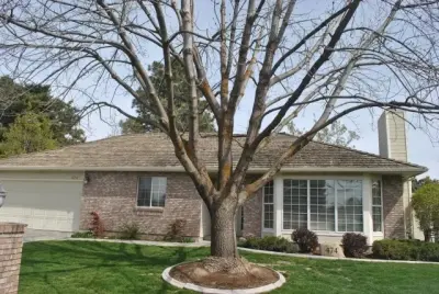 Carter Construction - Tile & Stone Installation Services in Boise, ID