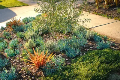 Bosler Earth Design - Landscape Design in Los Angeles, CA