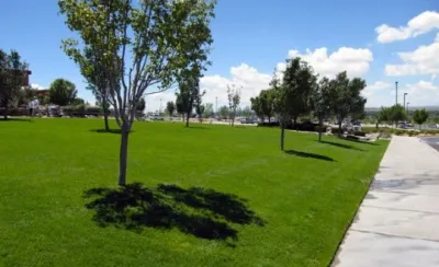 Custom Agronomic Solutions - Tree & Shrub Care in West Sacramento, CA
