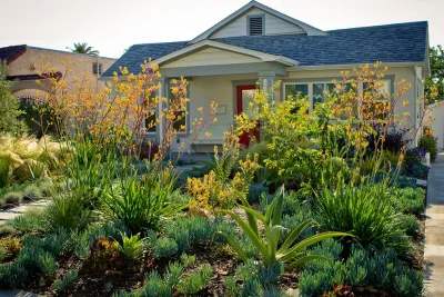 Colorful Drought Tolerant Up Grade - Mid Town by Bosler Earth Design