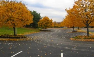 Custom Agronomic Solutions - Tree & Shrub Care in West Sacramento, CA