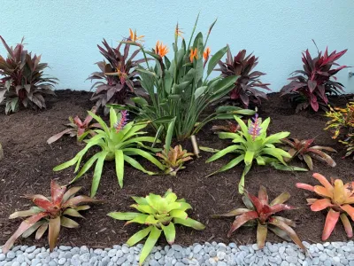 Custom Outdoor Creations - Garden Remodeling in Naples, FL