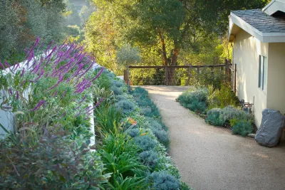 Bosler Earth Design - Landscape Design in Los Angeles, CA