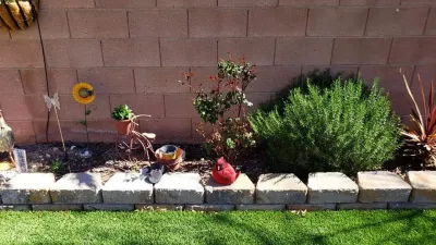 Cut & Go Landscaping - Tree & Shrub Care in San Diego, CA
