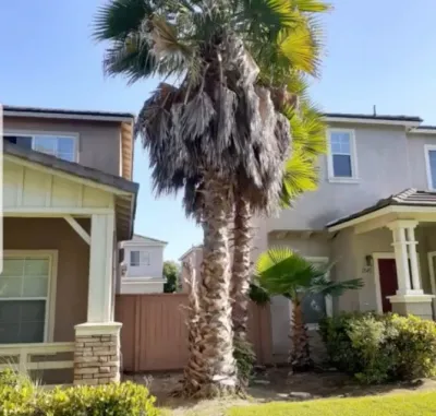Cut & Go Landscaping - Tree & Shrub Care in San Diego, CA