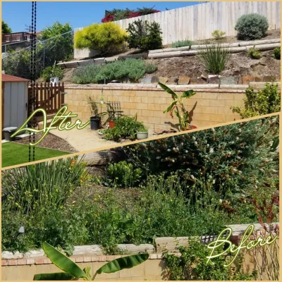 Cut & Go Landscaping - Tree & Shrub Care in San Diego, CA