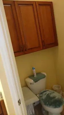 Bathroom Vanity Refacing Project — Kitchen Remodeling project by Joshua Braden, Cornerstone Builders Of SWFL