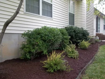 InvoGreen - Lawn Aeration in Saint Louis, MO
