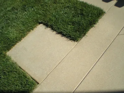 Daniels Landscape Inc. - Outdoor Lighting Installation in San Marcos, CA