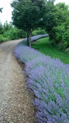 Dave Ryan Landscaping Nantucket - Garden Remodeling in Nantucket, MA