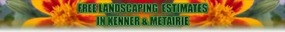 Dave's Lawn Care Service - Land Cleaning in Kenner, LA