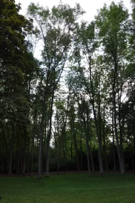 David J Frank Landscape Contracting Inc - Outdoor Lighting Installation in Germantown, WI