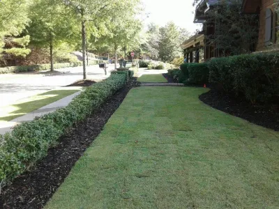 Deep Roots Landscape, LLC - Seasonal Yard Cleaning in Gainesville, GA